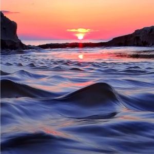 Meet your Posher, Mindi